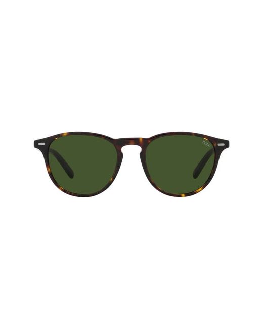 Polo Ralph Lauren 51mm Phantos Sunglasses in at