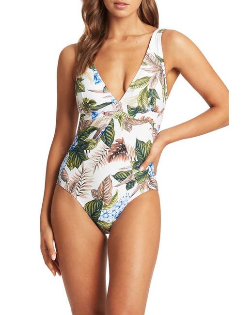Sea Level Panel Line Multifit One-Piece Swimsuit in at 4 Us
