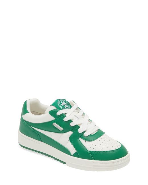 Palm Angels University Low Top Sneaker in at 7Us