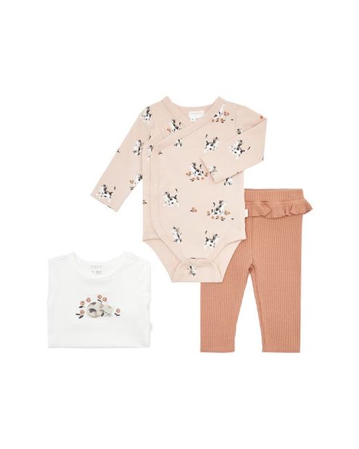 FIRSTS by petit lem Kitten Print 3-Piece Stretch Organic Cotton Bodysuits Solid Leggings Set in at 0-3M
