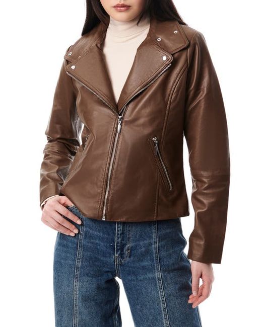 Bernardo Lambskin Leather Moto Jacket in at X-Small