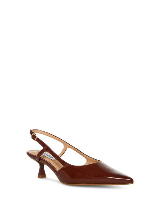 Steve Madden Legaci Pointed Toe Pump in at 11