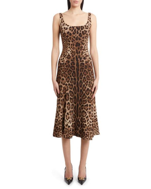 Dolce & Gabbana Leopard Print Cady Fit Flare Dress in at