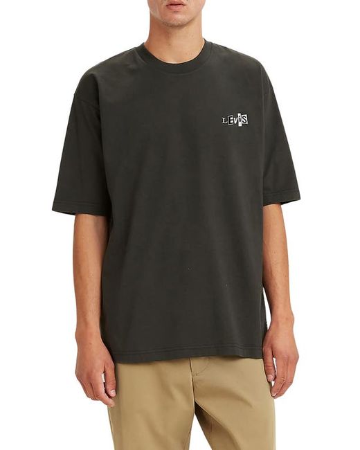 Levi's Skate Boxy Graphic T-Shirt in at Large