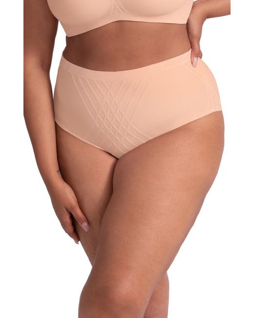 Honeylove Silhouette Shaping Briefs in at