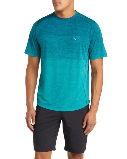 Tommy Bahama Tropic Ombré Jersey T-Shirt in at Small