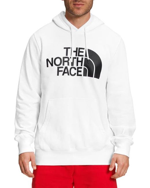 The North Face Half Dome Graphic Pullover Hoodie in Black at Medium R