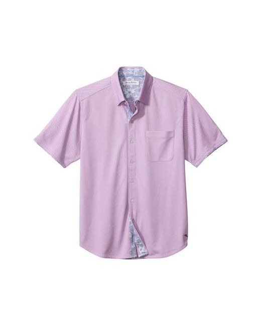 Tommy Bahama San Lucio Short Sleeve Button-Up Shirt in at