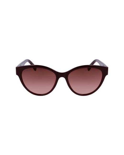 Lacoste 55mm Gradient Cat Eye Sunglasses in at