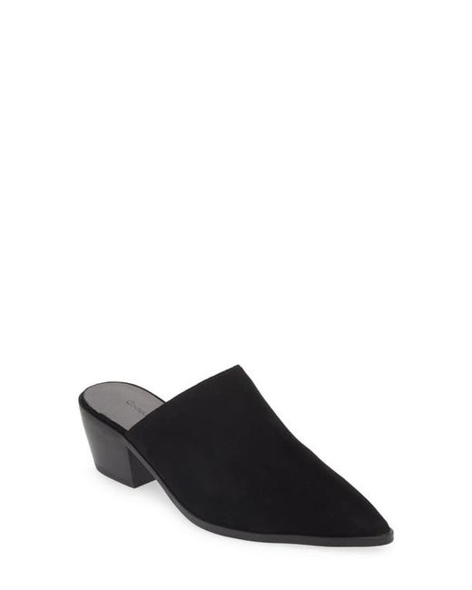 Chocolat Blu Cellia Pointed Toe Mule in at 6