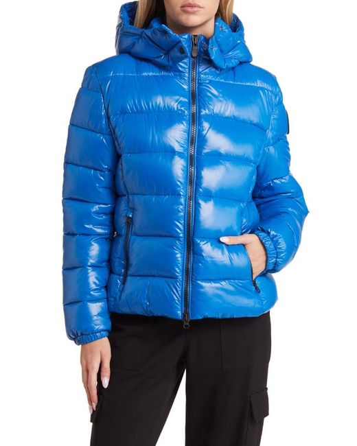 Save The Duck Cosmary Water Repellent Insulated Puffer Jacket in at
