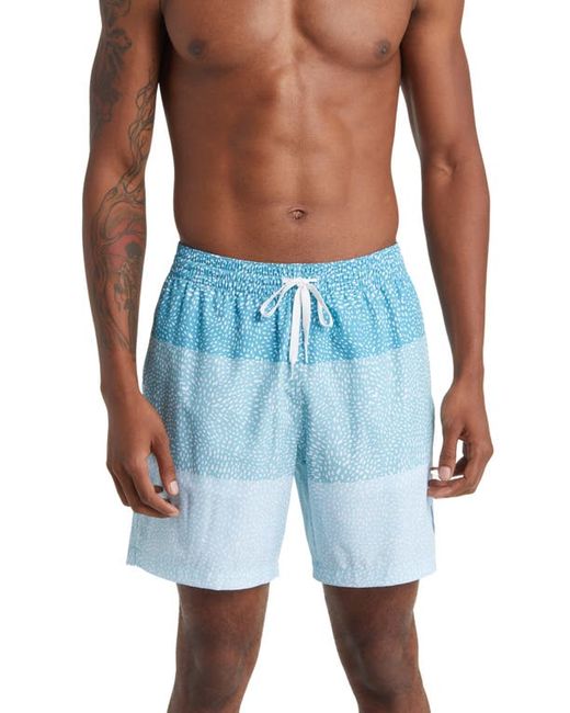 Chubbies Classic 7-Inch Swim Trunks in at