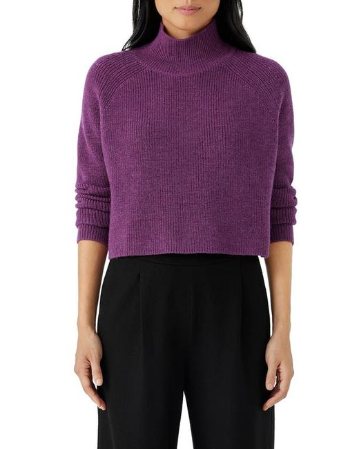 Eileen Fisher Merino Wool Crop Turtleneck Sweater in at