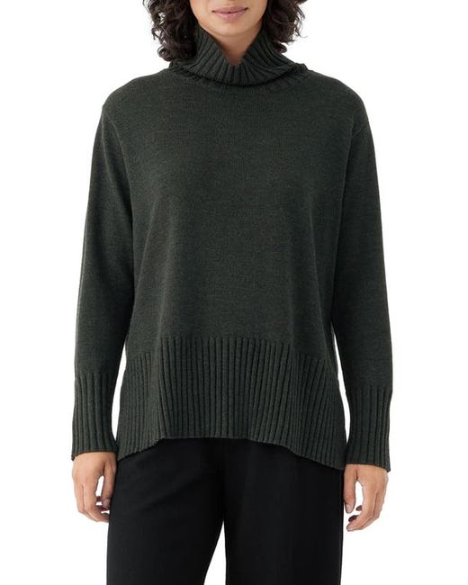 Eileen Fisher Wool Turtleneck Sweater in at Xx-Small