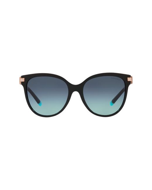 Tiffany & co. . 55mm Gradient Pillow Sunglasses in at