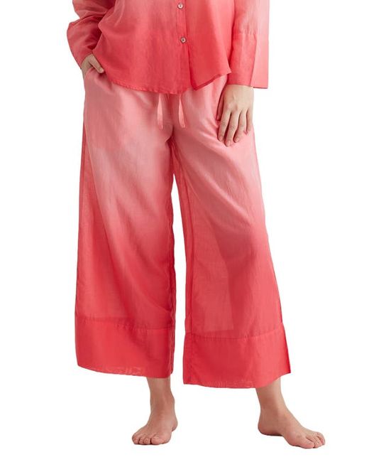 Papinelle Ombré Wide Leg Cotton Pajama Pants in at X-Small