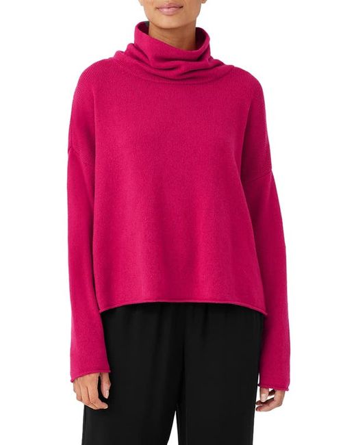 Eileen Fisher Boxy Organic Cotton Recycled Cashmere Turtleneck Sweater Xx-Small