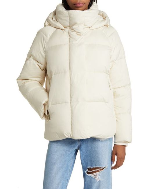 Levi's Hooded Puffer Jacket