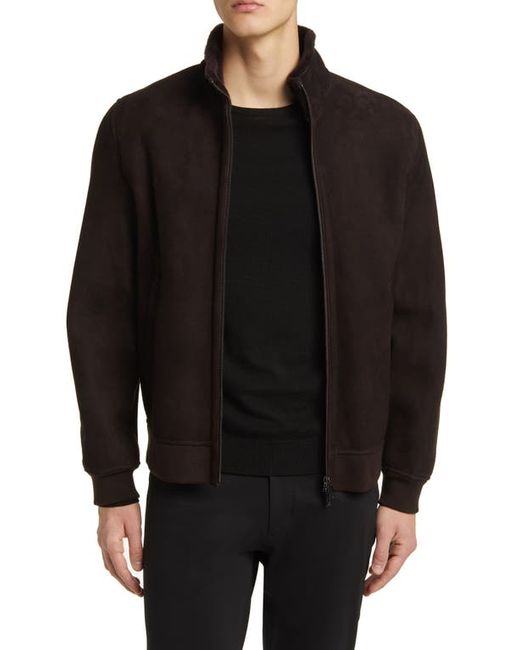 Theory Marco Genuine Shearling Jacket X-Small
