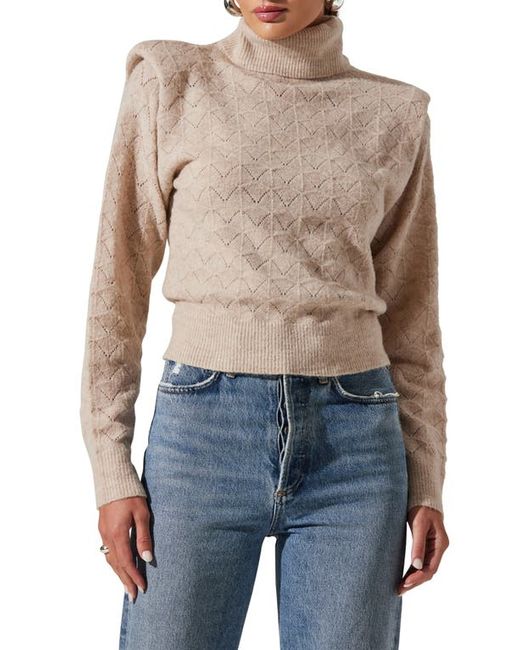 ASTR the Label Pointelle Sweater