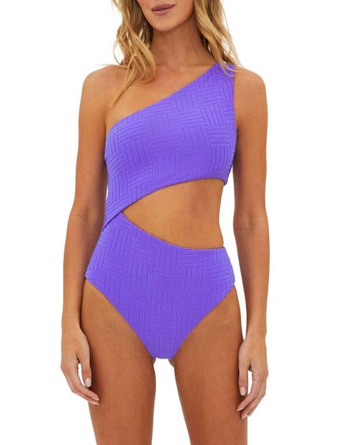 Beach Riot Celine Cutout One-Shoulder One-Piece Swimsuit X-Small