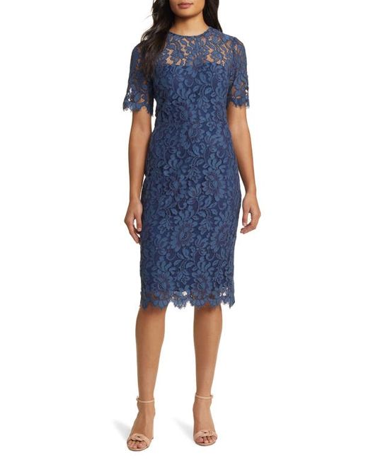 Eliza J Embroidered Lace Overlay Cocktail Dress