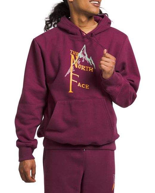 The North Face Heavyweight Graphic Hoodie Boysenberry/Lo-Fi Small