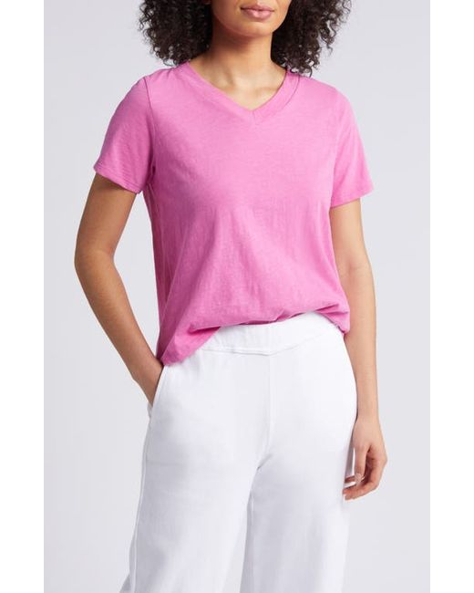 Eileen Fisher V-Neck Organic Cotton T-Shirt