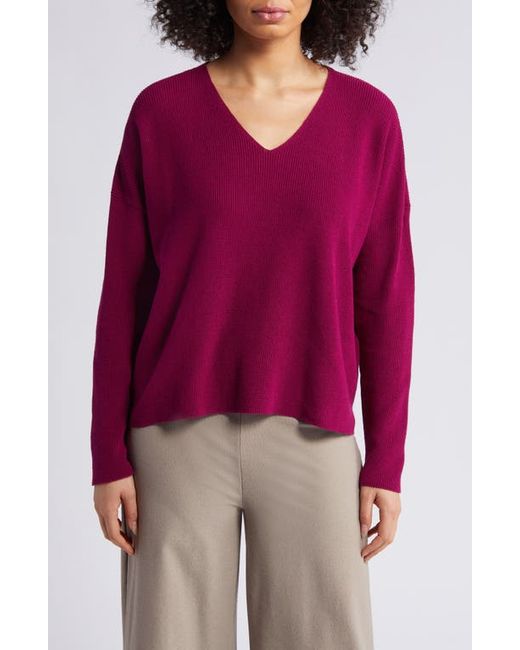 Eileen Fisher V-Neck Organic Cotton Pullover Sweater