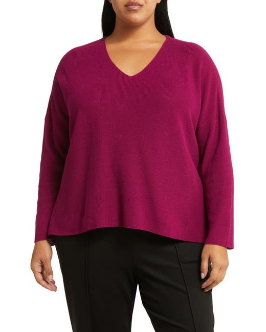 Eileen Fisher Organic Cotton V-Neck Sweater