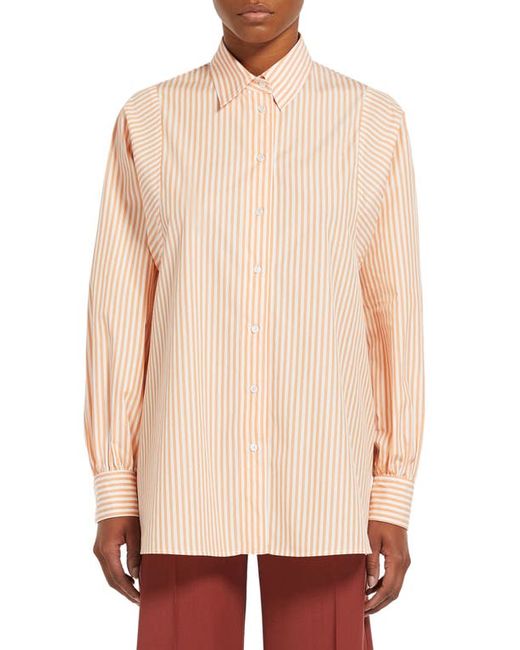 Max Mara Leisure Fufy Stripe Cotton Button-Up Shirt