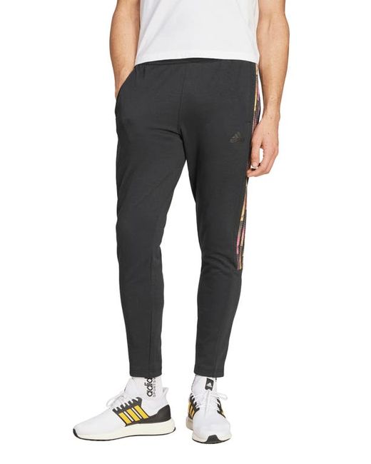 Adidas Sportswear Tiro Q2 Pants