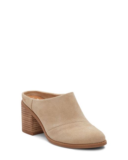 Toms Evelyn Mule