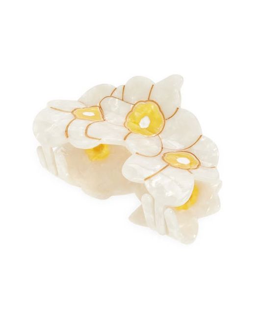 Solar Eclipse Narcissus Claw Hair Clip