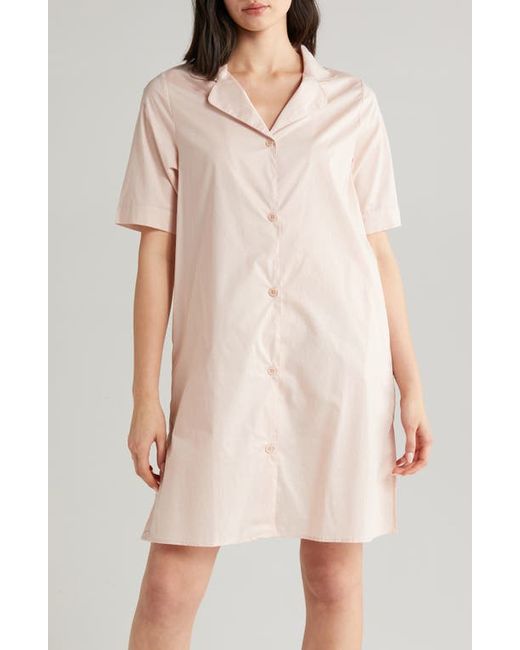 Papinelle Gemma Short Sleeve Cotton Nightshirt