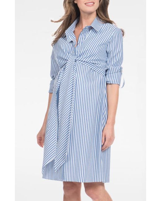 Séraphine Stripe Long Sleeve Maternity/Nursing Shirtdress