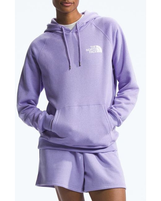 The North Face Box Logo NSE Pullover Hoodie