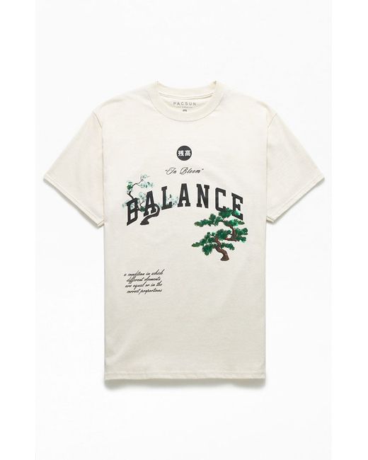 PacSun Balance T-Shirt Small
