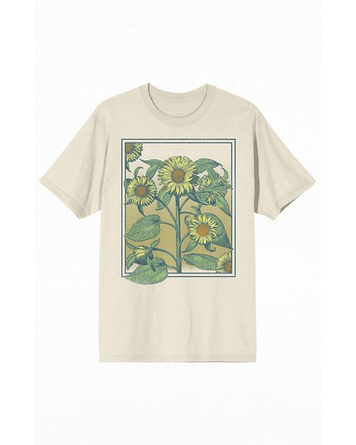 Bioworld Sunflower Frame T-Shirt Small