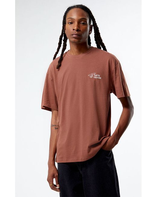 PacSun Eco A Taste of Heaven Embroidered T-Shirt Small