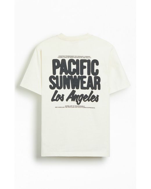 PacSun Pacific Sunwear Depths T-Shirt Small