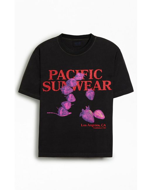 PacSun Pacific Sunwear Tumble T-Shirt Small