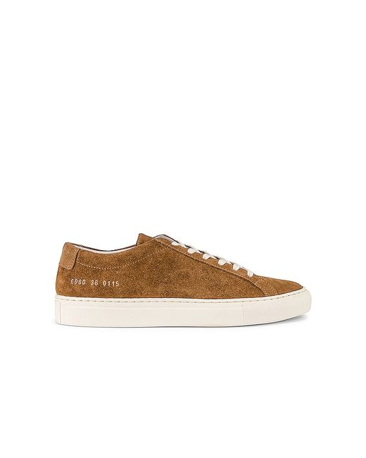 Common Projects Achilles Low Suede Sneaker in 36 37 38 39 40.