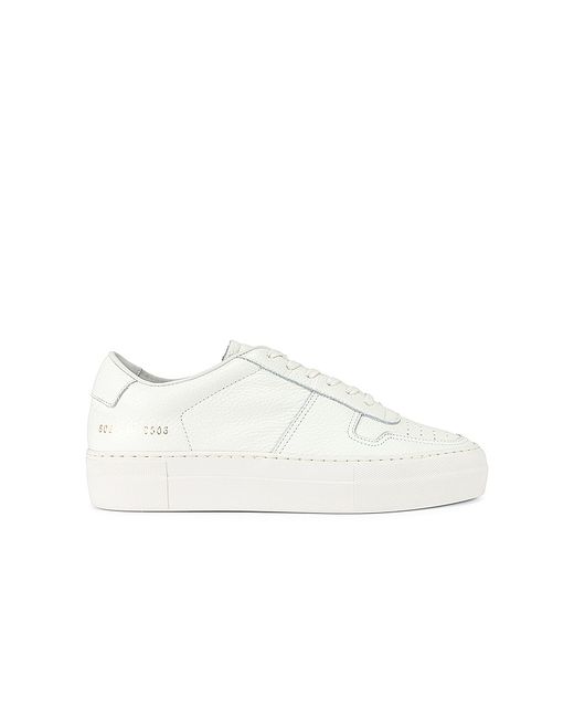 Common Projects Bball Low Sneaker in 36 37 38 39 40.