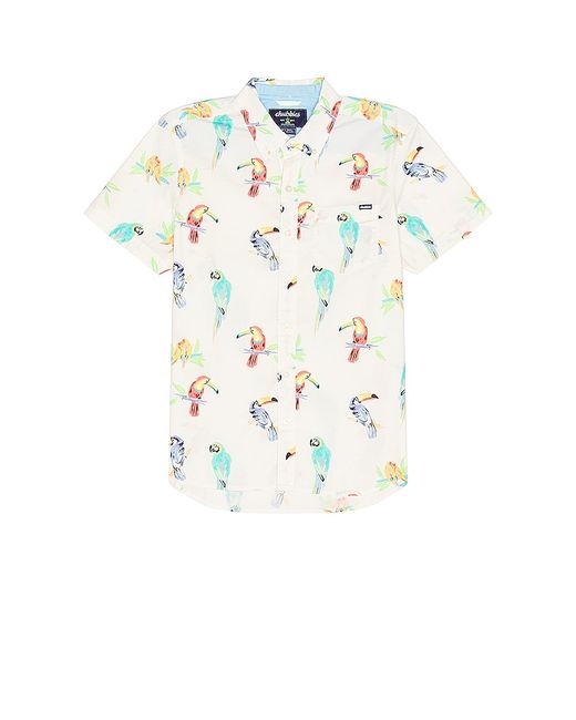 Chubbies The Dude Wheres Macaw Friday Shirt in M S XL/1X.