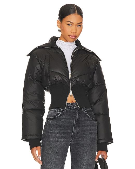 L'Academie Rylee Cropped Puffer also