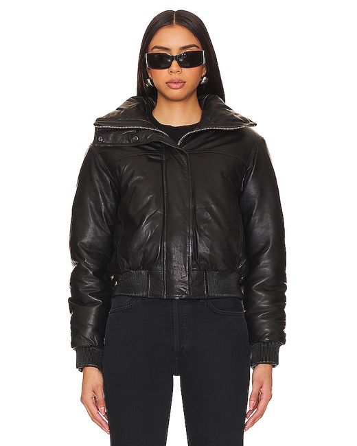 AllSaints Sloane Padded Leather Jacket