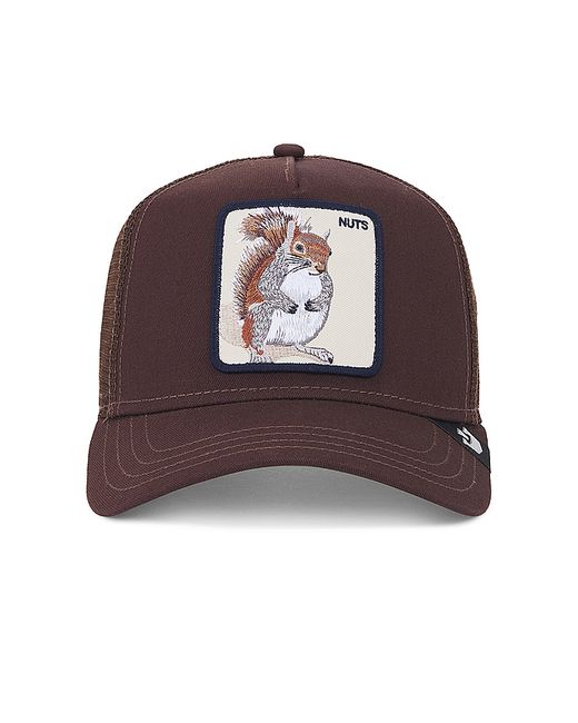 Goorin Brothers The Nuts Squirrel Hat
