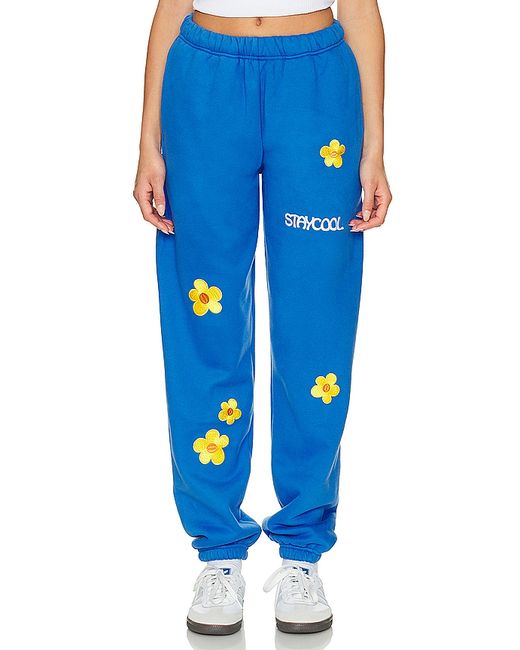 Stay Cool Sunflower Sweatpant also L 1X.