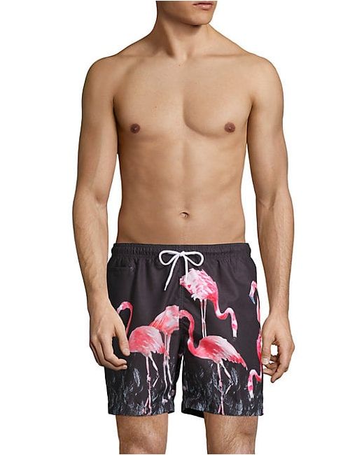 Trunks San O Flamingo Swim Shorts